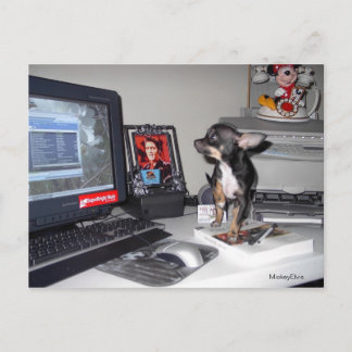 Niedlich Baby Mickey Elvis 1 Postkarte