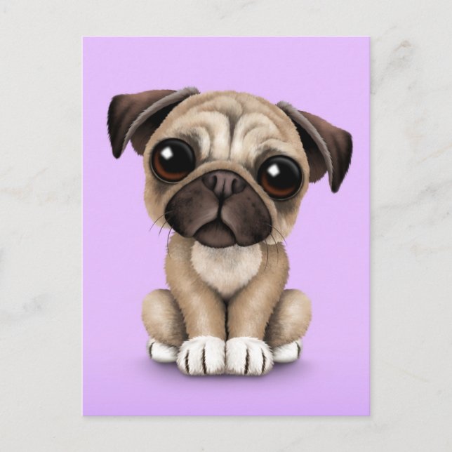 Niedlich Baby Mops Welpen Hund auf Lila Postkarte (Vorderseite)