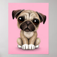 Niedlich Baby Mops Welpen Hund auf rosa