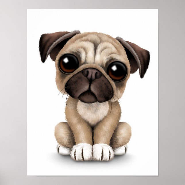 Niedlich Baby Mops Welpenhund auf Weiß Poster (Vorne)
