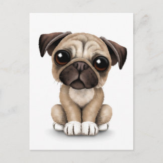 Niedlich Baby Mops Welpenhund auf Weiß Postkarte