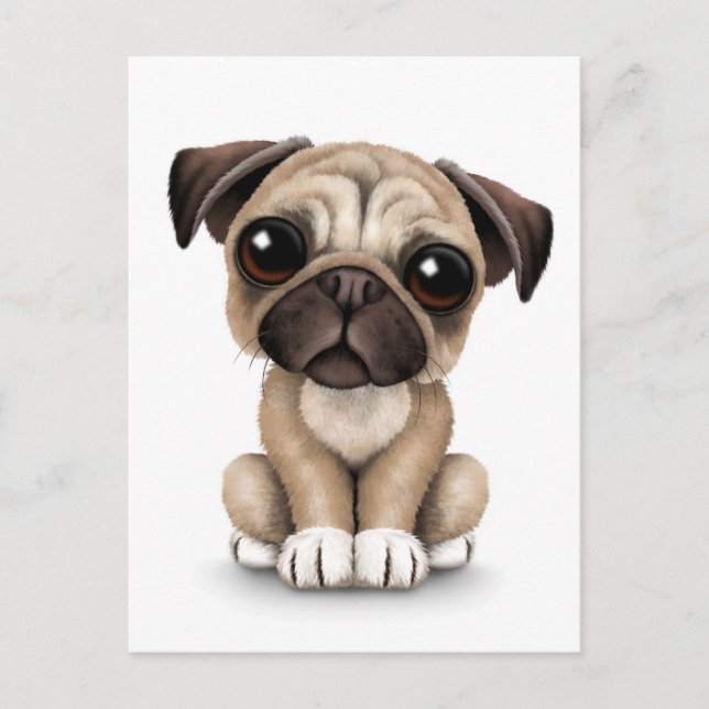 Niedlich Baby Mops Welpenhund auf Weiß Postkarte (Vorderseite)