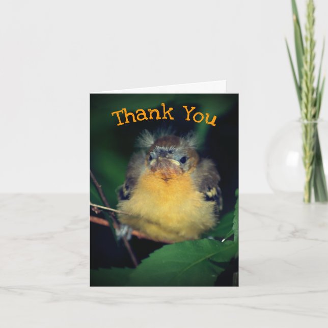 Niedlich Baby Oriole Bird Nature Danke Karte (Vorderseite)