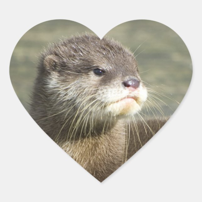 Niedlich Baby Otter Herz-Aufkleber (Vorderseite)
