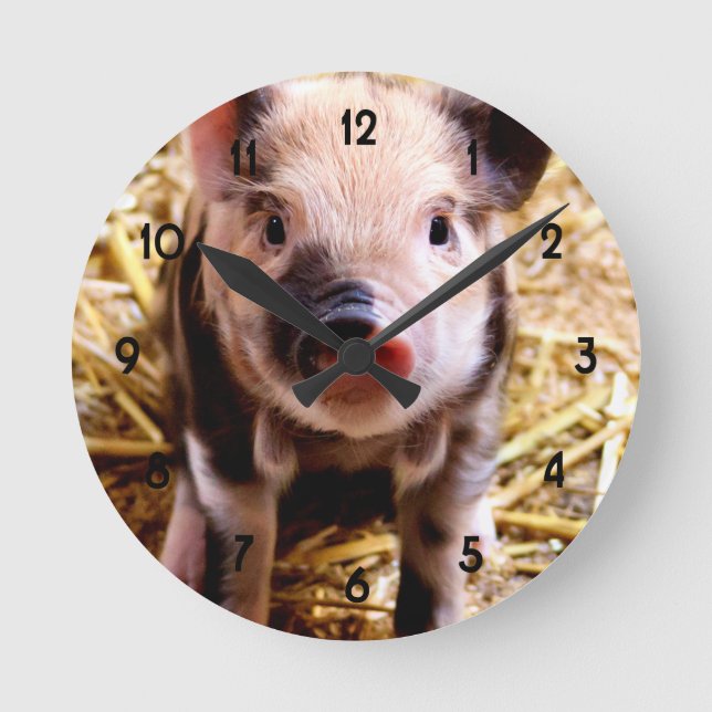 Niedlich Baby Pig Runde Wanduhr (Vorderseite)