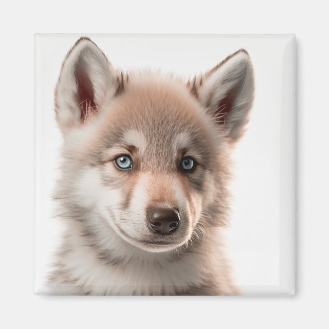 Niedlich Baby Wolf Portrait Magnet | Sammelbar (Vorne)