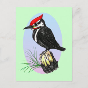 Niedlich Baby Woodpecker Postkarte