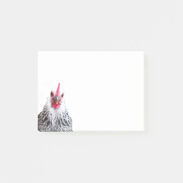 Niedlich Bantam Cochin Hen Foto 4x3 Anmerkungen Post-it Klebezettel (Vorderseite)