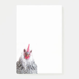 Niedlich Bantam Cochin Hen Foto 4x6 Hinweise Post-it Klebezettel
