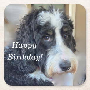 Niedlich Bernedoodle Rechteckiger Pappuntersetzer