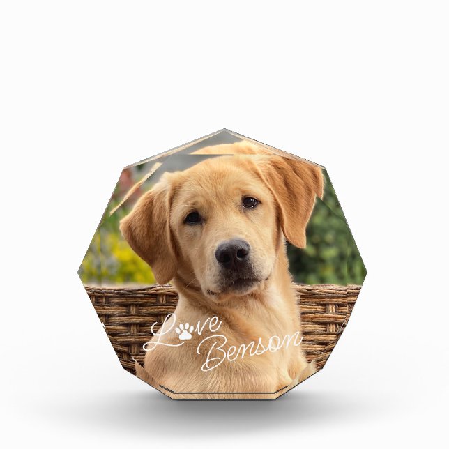 Niedlich Best Friend Picture Liebe Paw Print Heft Fotoblock (Vorderseite)