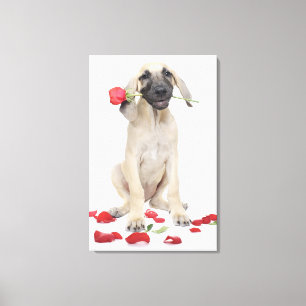 niedlich, Bewunderung, Romantik, Liebe, Leinwanddruck