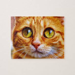 Niedlich Big Mit Augen Ginger Cat