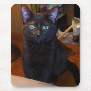 Niedlich Black Cat Mousepad