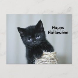 Niedlich Black Kitten Foto Twine Halloween Postkarte