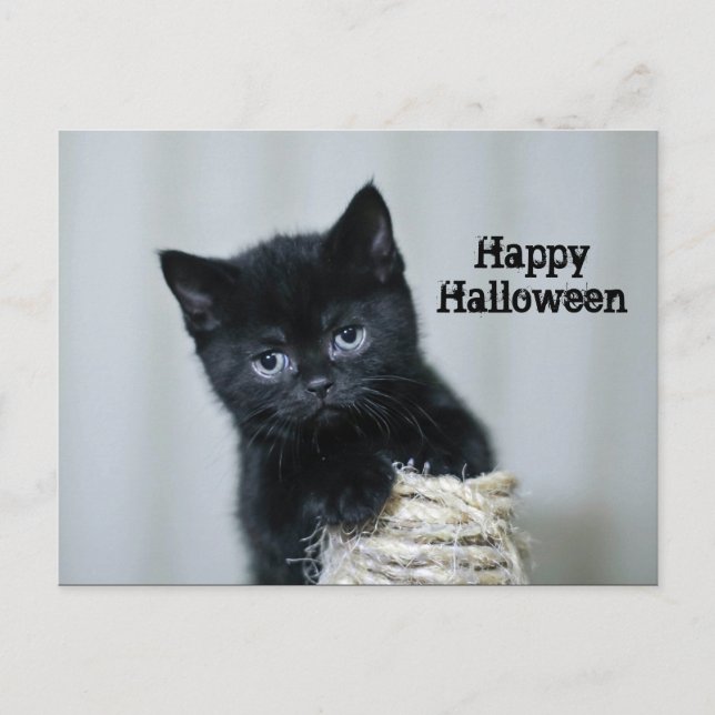 Niedlich Black Kitten Foto Twine Halloween Postkarte (Vorderseite)