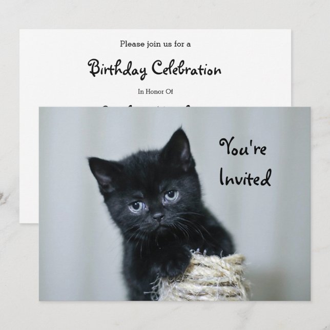 Niedlich Black Kitten Twine Foto Geburtstag Einladung (Vorne/Hinten)