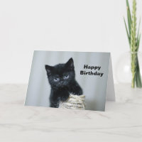 Niedlich Black Kitten Twine Foto Geburtstag