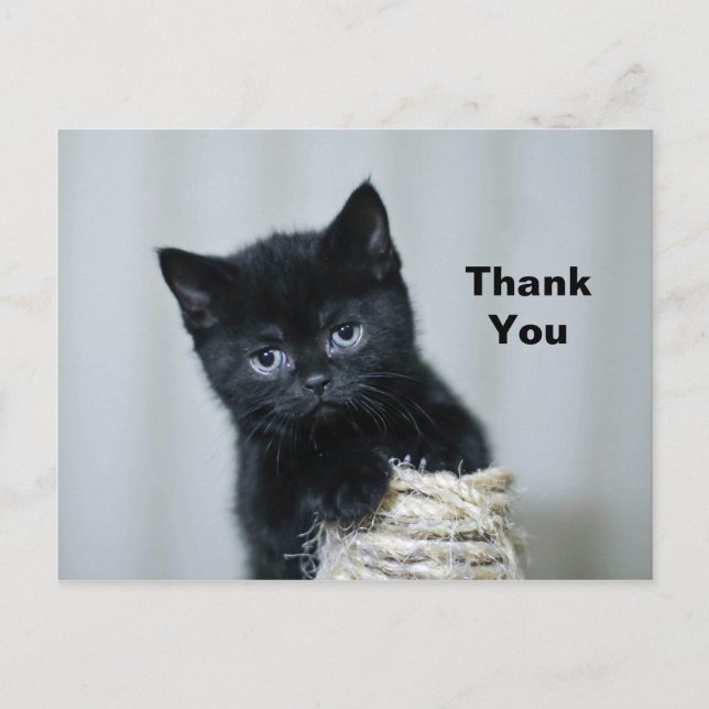 Niedlich Black Kitten Twine Foto Vielen Dank Postkarte (Vorderseite)