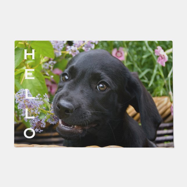 Niedlich Black Labrador Retriever Doppy Puppy Fußmatte (Vorderseite)