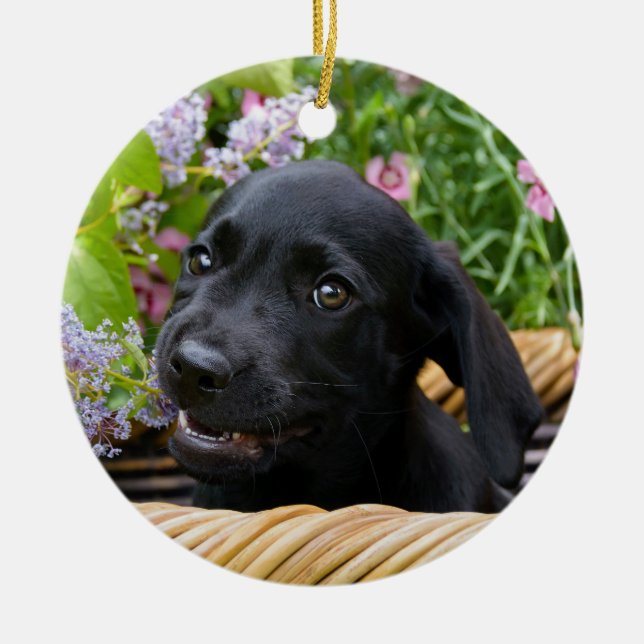 Niedlich Black Labrador Retriever Hund Welpe Foto  Keramikornament (Vorne)