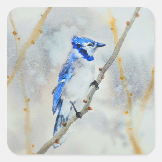 Niedlich-blaue-Vogelschutzaufkleber Quadratischer Aufkleber