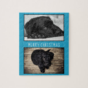 Niedlich Blue Dog Welpe 2 Foto Collage Weihnachten