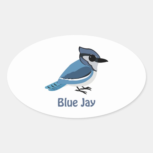 Niedlich Blue Jay Ovaler Aufkleber (Vorderseite)