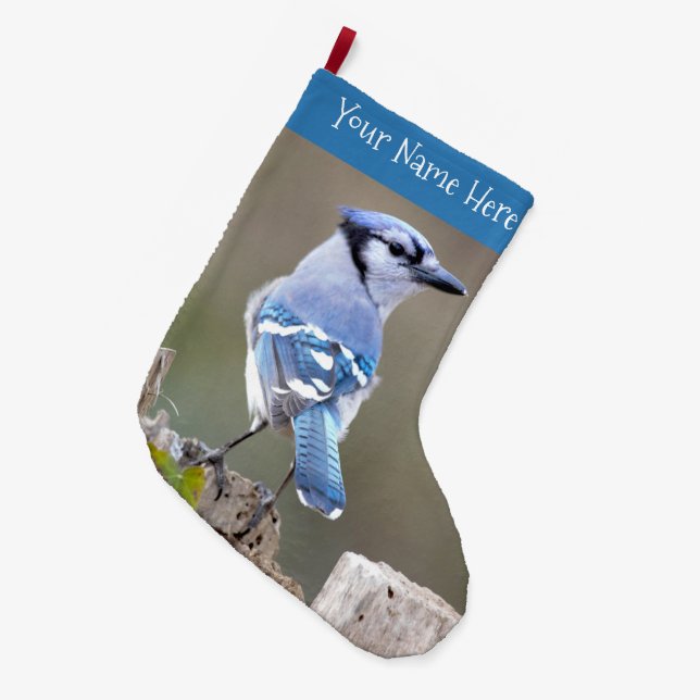 Niedlich Blue Jay Songbird auf Baumstumpf Großer Weihnachtsstrumpf (Vorderansicht (hängend))
