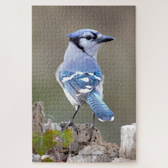Niedlich Blue Jay Songbird auf Treestump Jigsaw Pu (Vertikal)