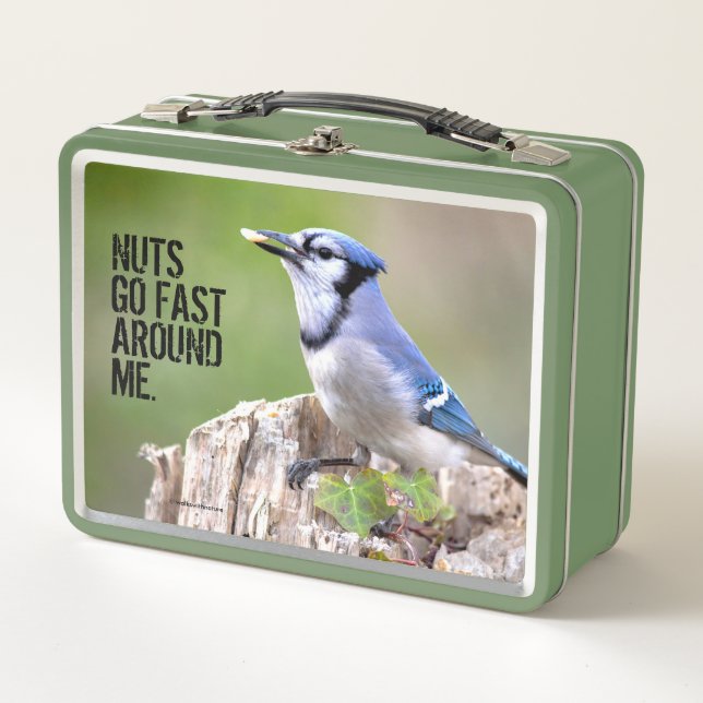 Niedlich Blue Jay Songbird auf Treestump Metall Brotdose (Vorderseite)
