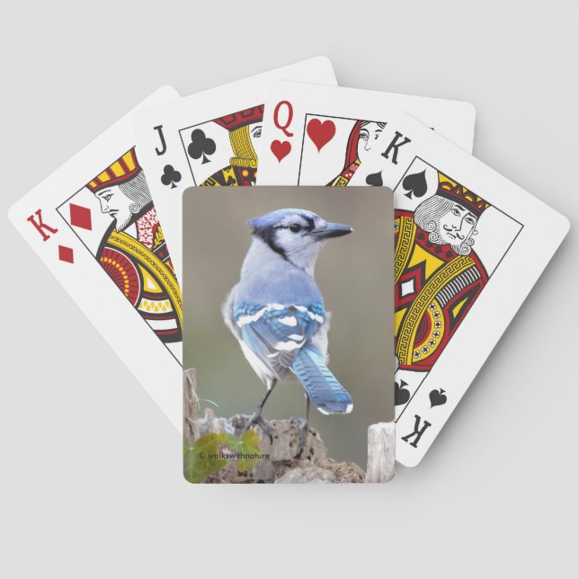 Niedlich Blue Jay Songbird auf Treestump Spielkarten (Rückseite)