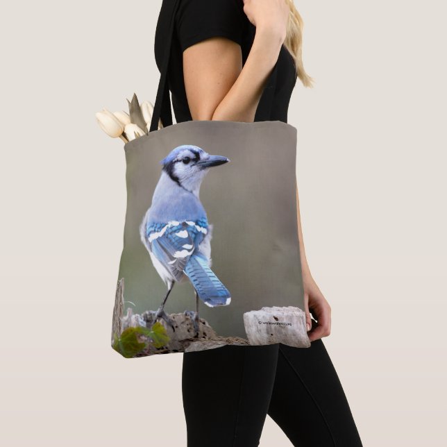 Niedlich Blue Jay Songbird auf Treestump Tasche (Von Nahem)