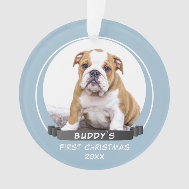 Niedlich Blue Puppy 1. Foto für Weihnachtshunde Ornament (Vorderseite)