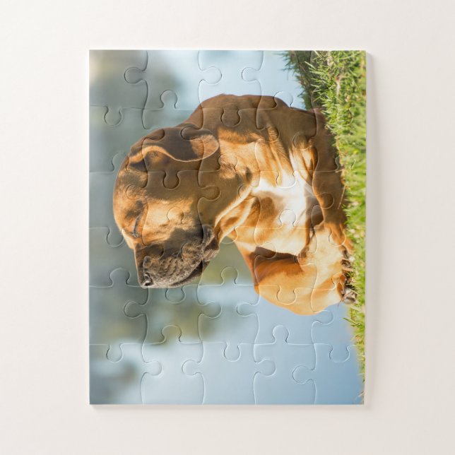 Niedlich Boerboel Dog (Vertikal)