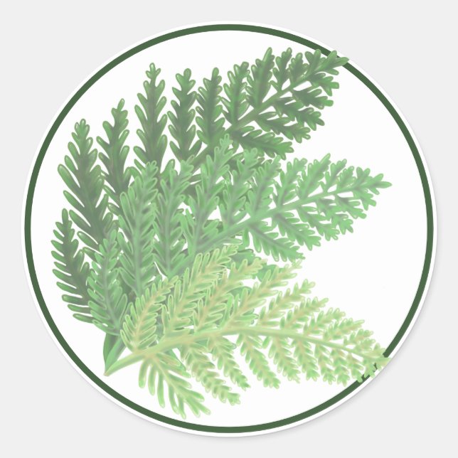 Niedlich boho Moss Green Fern Runder Aufkleber (Vorderseite)