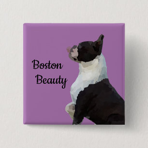 Niedlich Boston Terrier Boston Beauty Button Butto