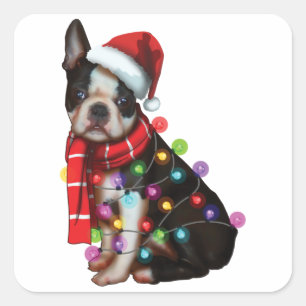 Niedlich Boston Terrier Dog Funny Xmas Weihnachtsg Quadratischer Aufkleber