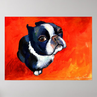 Niedlich Boston Terrier Dog Gemälde Svetlana Novik Poster