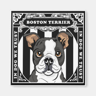 Niedlich Boston Terrier Magnet Square