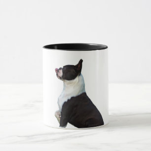 Niedlich Boston Terrier Tasse