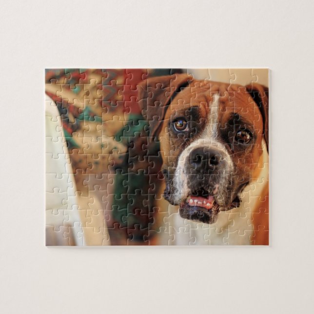 Niedlich Boxer (Horizontal)