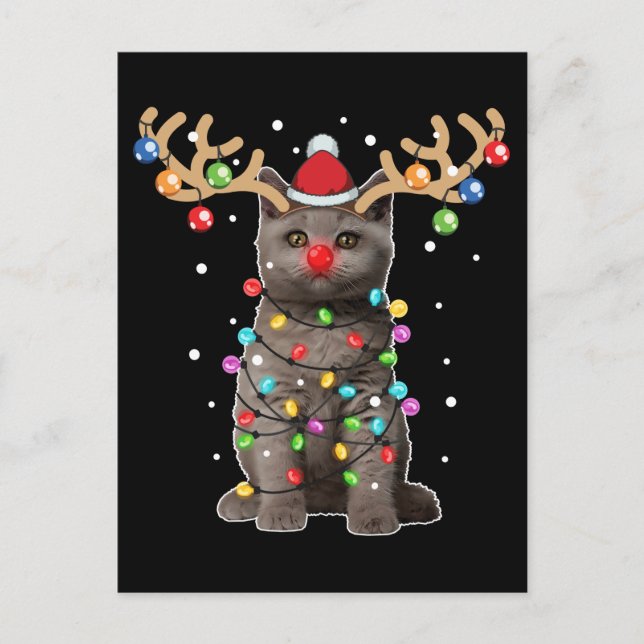 Niedlich British Shorthair Cat Funny Christmas Hol Postkarte (Vorderseite)