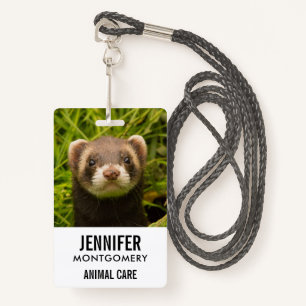 Niedlich Brown Ferret im Gras Ausweis