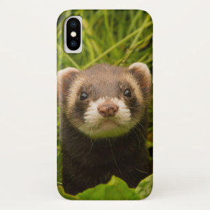 Niedlich Brown Ferret im Gras Case-Mate iPhone Hülle