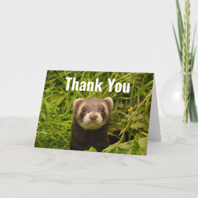 Niedlich Brown Ferret im Gras Danke Karte (Vorderseite)