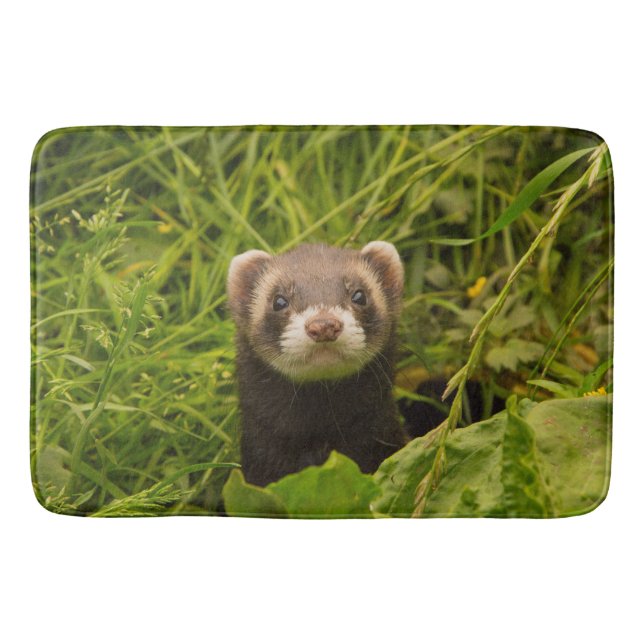 Niedlich Brown Ferret im Gras-Foto Badematte (Vorderseite)