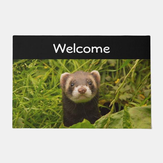 Niedlich Brown Ferret im Gras-Foto Fußmatte (Vorderseite)