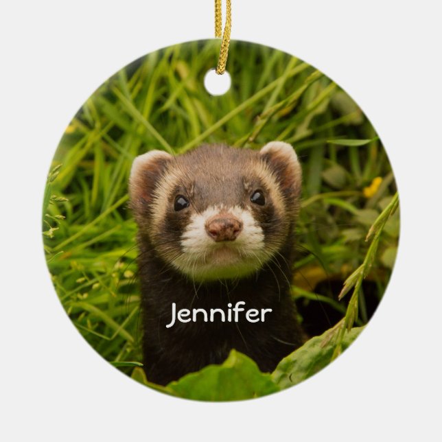 Niedlich Brown Ferret im Gras-Foto Keramik Ornament (Vorne)