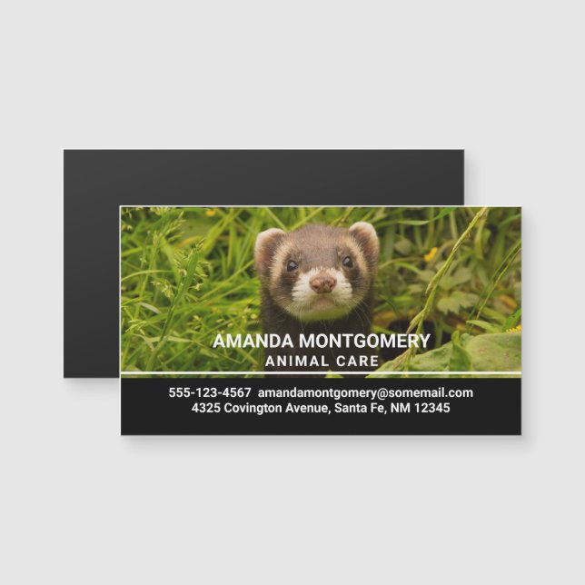 Niedlich Brown Ferret im Gras-Foto Magnetkarte (Vorne/Hinten)